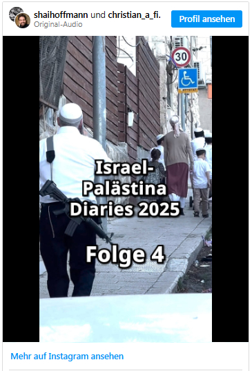 Israel Palästina Diaries 2025 Folge 4